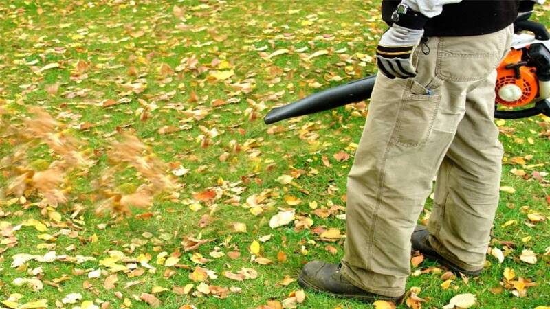 In search of silence:  should Calgary ban leaf blowers?