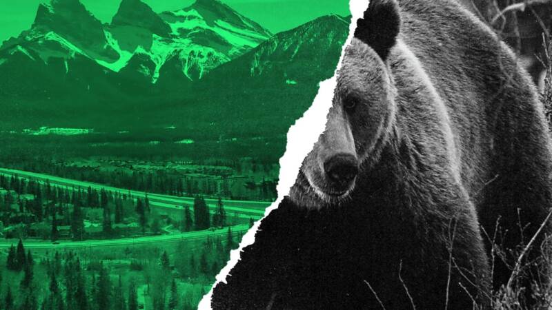 Undermined: Canmore's struggle to curb sprawl