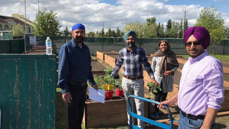 What community gardens tell us about inequality
