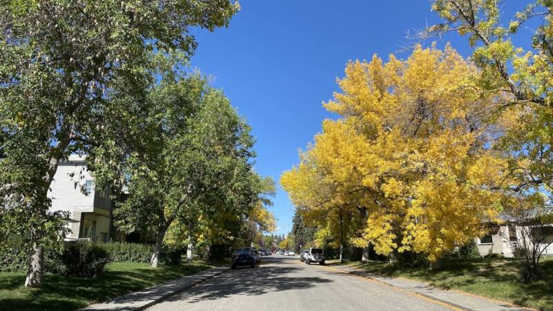 Support local journalism. Help us get 100 new members in October!