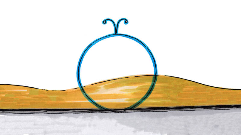 The names that help us make sense of Calgary