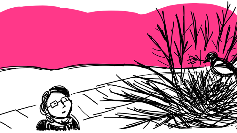 This time is not wasted