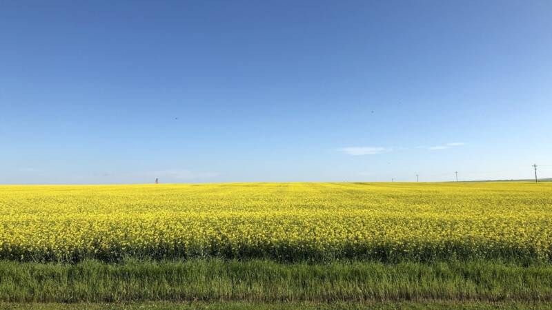 The Sprawl is now in quiet mode.