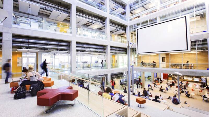 In Alberta, we're cutting away our own future