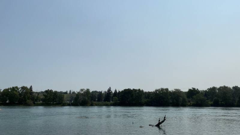 The 'distant future' is upon us