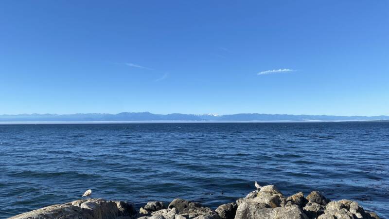 The replenishing power of pause