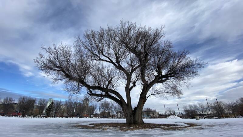 A little perspective on the arena deal