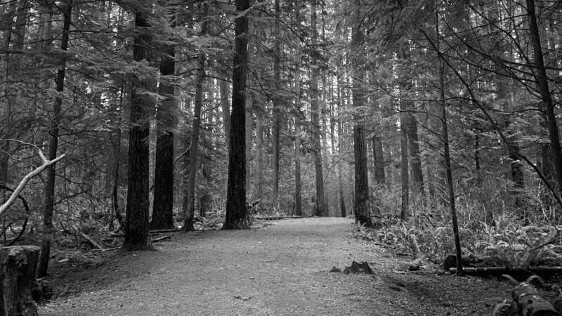 Glenn Gould and the art of radio